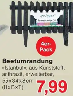 Wiglo Wunderland Beetumrandung Angebot