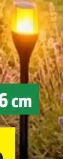 Thomas Philipps Solar-LED Wegelampe Angebot