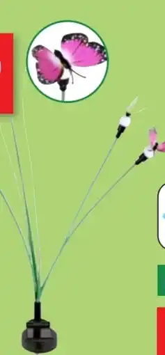 Thomas Philipps Solar Schmetterlinge Angebot