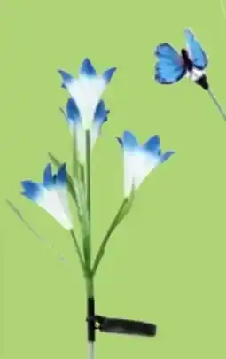 Thomas Philipps Solar-Blume Angebot