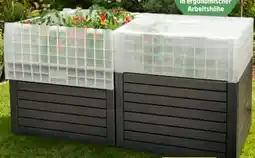 Thomas Philipps XXL-Gewächshaus Angebot