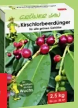 Thomas Philipps Grüner Jan Kirschlorbeerdünger Angebot