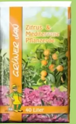 Thomas Philipps Grüner Jan Zitrus- und Mediterrane Pflanzerde Angebot