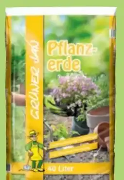 Thomas Philipps Grüner Jan Pflanzerde Angebot