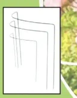 Thomas Philipps Metall-Busch-Strauchstützen Angebot