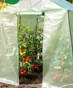 Thomas Philipps Gewächshaus Angebot