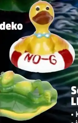 Thomas Philipps Teich-Schwimmdeko Angebot