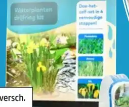 Thomas Philipps Bepflanzte Schwimminsel Angebot