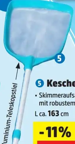 Thomas Philipps BestWay Pool Kescher Angebot