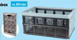 Thomas Philipps Jumbo-Klappbox Angebot