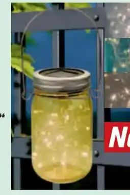 toom Baumarkt Toom Solar-Dekolicht Glas Angebot