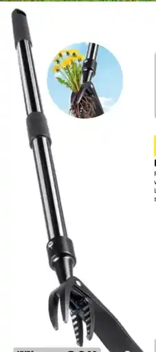 Hagebau Unkrautstecher Angebot
