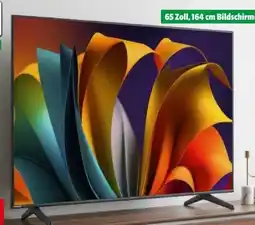 Hagebau Hisense Smart-TV-Fernseher 65E6NT Angebot
