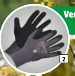 Hagebau Wolf Garten Handschuhe KIXX Flex Angebot