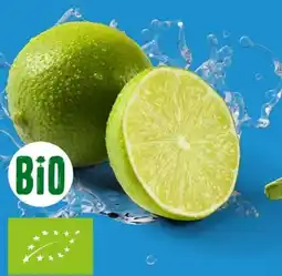 Lidl Bio Limetten Angebot