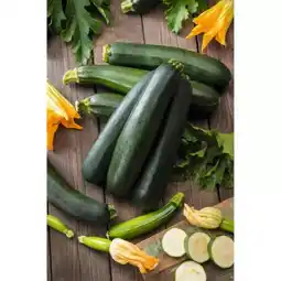 toom Baumarkt Zucchini-Gurken-Mix Angebot