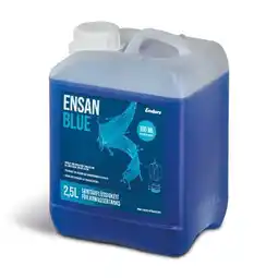toom Baumarkt Enders Sanitärflüssigkeit Ensan Blue Angebot