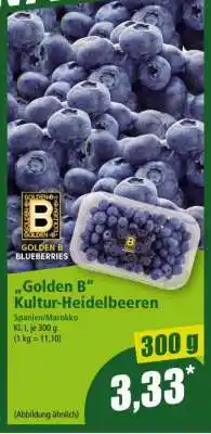 Norma Golden B Kultur-Heidelbeeren Angebot
