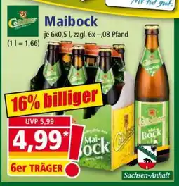 Norma Maibock Angebot