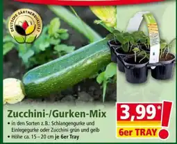 Norma Zucchini-/Gurken-Mix Angebot