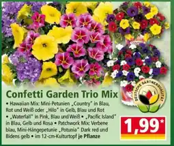 Norma Confetti Garden Trio Mix Angebot