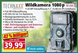 Norma Wildkamera 1080 p Angebot