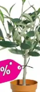 Wiglo Wunderland Künstliche Topfpflanze Angebot