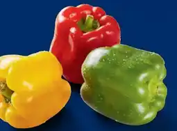 Lidl Paprika Mix Angebot