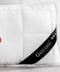 AWG Mode Villa Grinario Kopfkissen Angebot