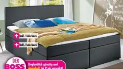 Möbel Boss Boxspringbett Orlando Angebot