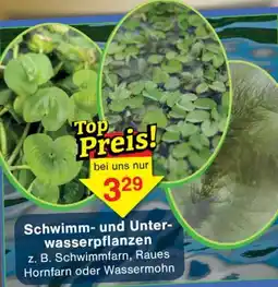 Wiglo Wunderland Schwimm und Unterwasserpflanzen Angebot