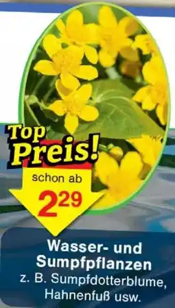 Wiglo Wunderland Wasser und Sumpfpflanzen Angebot