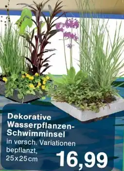 Wiglo Wunderland Dekorative Wasserpflanzen Schwimminsel Angebot