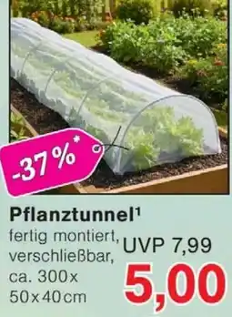 Wiglo Wunderland Pflanztunnel Angebot