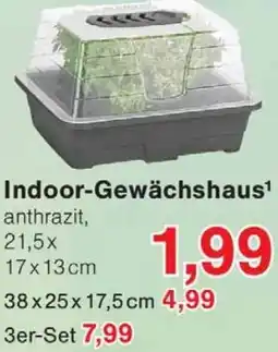 Wiglo Wunderland Indoor-Gewächshaus Angebot