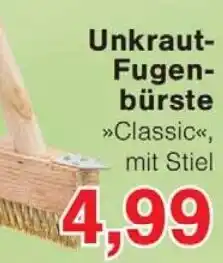 Wiglo Wunderland Unkraut Fugenbürste Angebot
