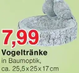 Wiglo Wunderland Vogeltränke Angebot
