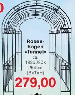 Jawoll Rosenbogen Tunnel Angebot