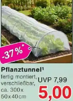 Jawoll Pflanztunnel Angebot