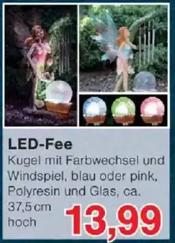 Jawoll LED-Fee Angebot