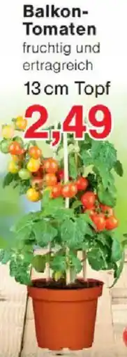 Jawoll Balkon Tomaten Angebot