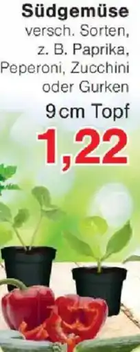 Jawoll Südgemüse Angebot