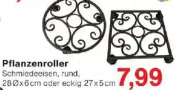Jawoll Pflanzenroller Angebot