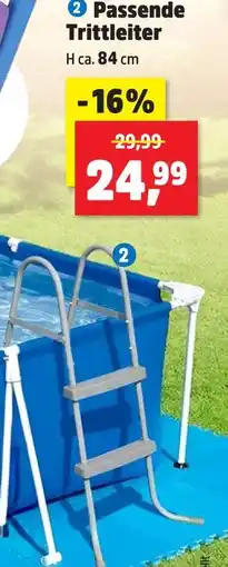 Thomas Philipps Bestway passende trittleiter Angebot