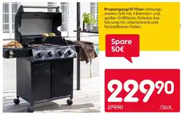 Rusta Propangasgrill titan Angebot