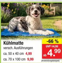 Zimmermann Kühlmatte Angebot