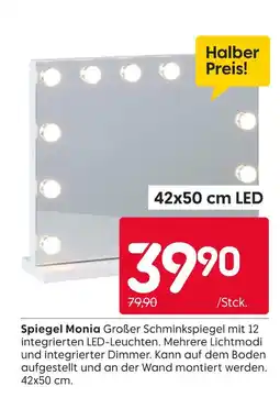 Rusta Spiegel monia Angebot