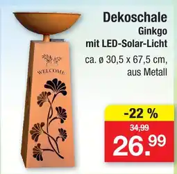 Zimmermann Dekoschale ginkgo mit led-solar-licht Angebot