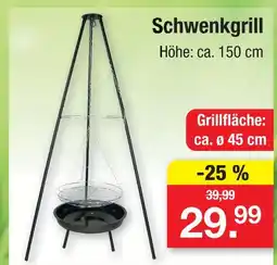 Zimmermann Schwenkgrill Angebot