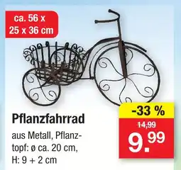 Zimmermann Pflanzfahrrad Angebot